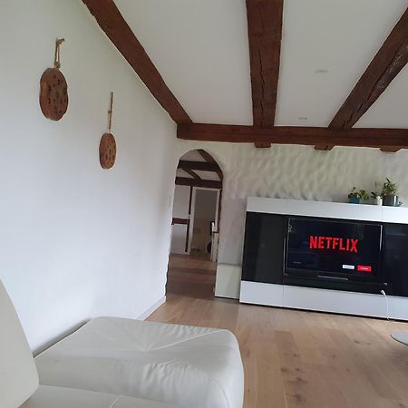 3 Bedroom Swiss House On 3 Floors Oberglatt الغرفة الصورة