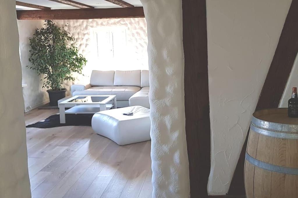 3 Bedroom Swiss House On 3 Floors Oberglatt المظهر الخارجي الصورة