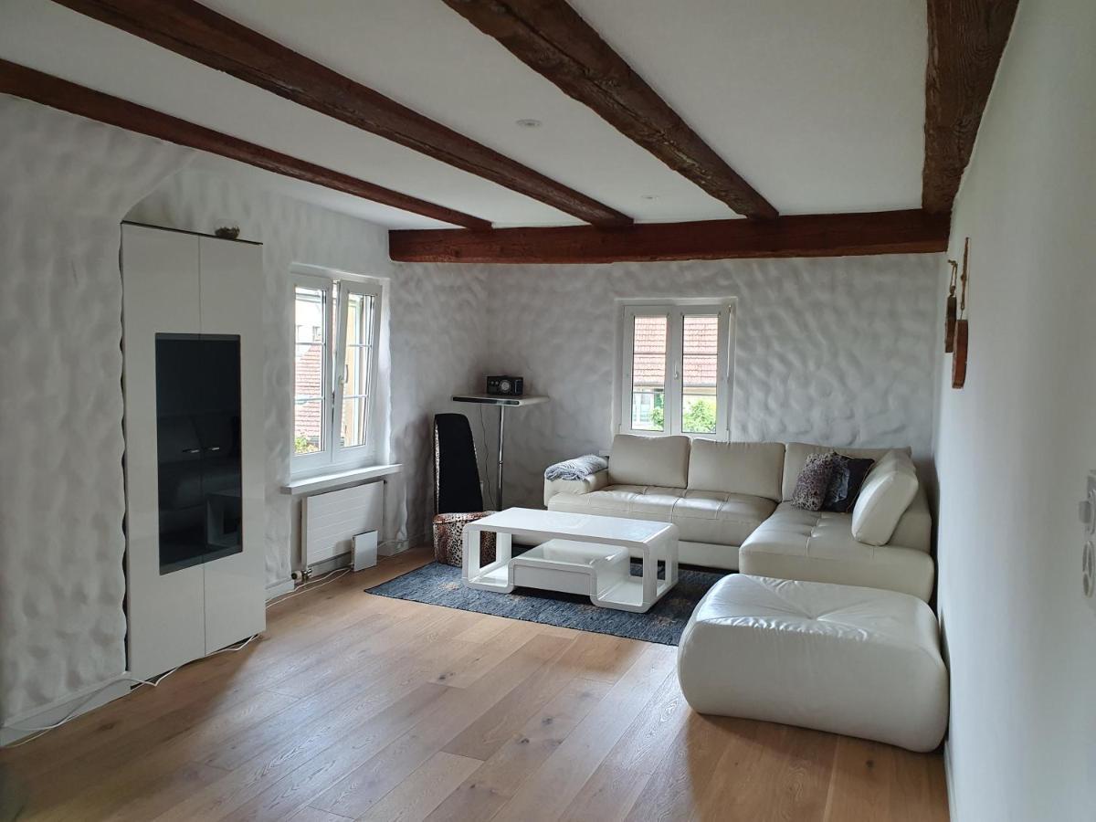 3 Bedroom Swiss House On 3 Floors Oberglatt المظهر الخارجي الصورة